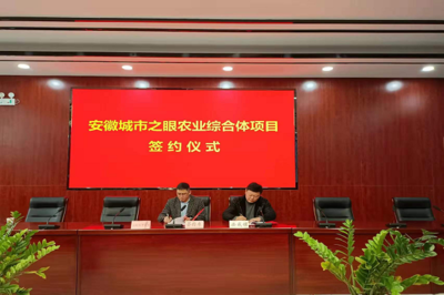 安成镇参加安徽城市之眼农业综合体项目签约仪式，携手推动新材料技术推广服务赋能现代农业